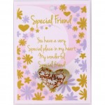 Pure Hearts - Special Friend (6 Pcs) PHH012